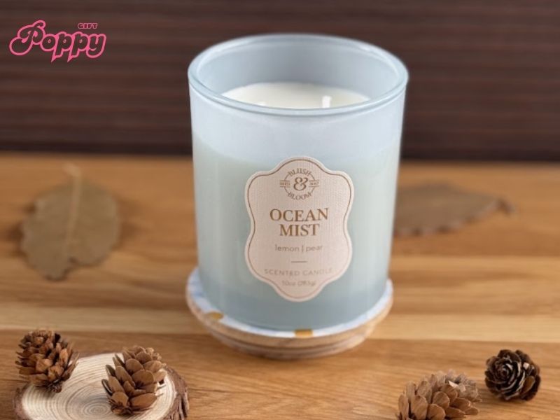 Nến thơm mùa thu đông hương nhựa hổ phách (Amber)